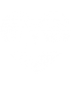 institut-fuer-praeventiev-medizin, kardiologie-icon, Herz-EKG-vectorgrafik